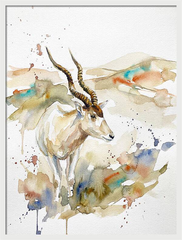 Addax In Watercolor Splendor 1