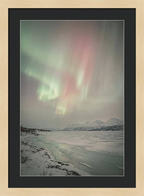 Auroras Above Tornetrask Lake 1