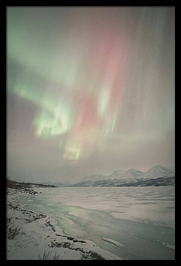Auroras Above Tornetrask Lake 1