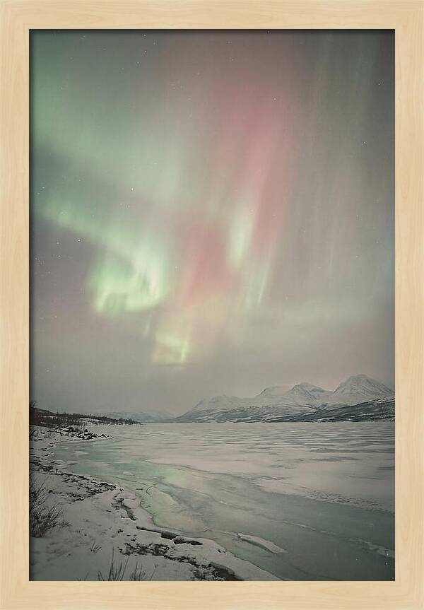 Auroras Above Tornetrask Lake 1