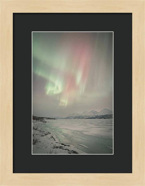Auroras Above Tornetrask Lake 1