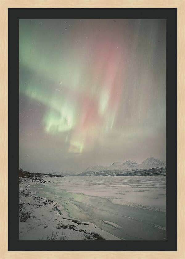 Auroras Above Tornetrask Lake 1