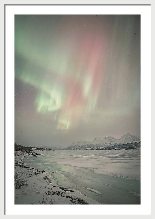 Auroras Above Tornetrask Lake 1