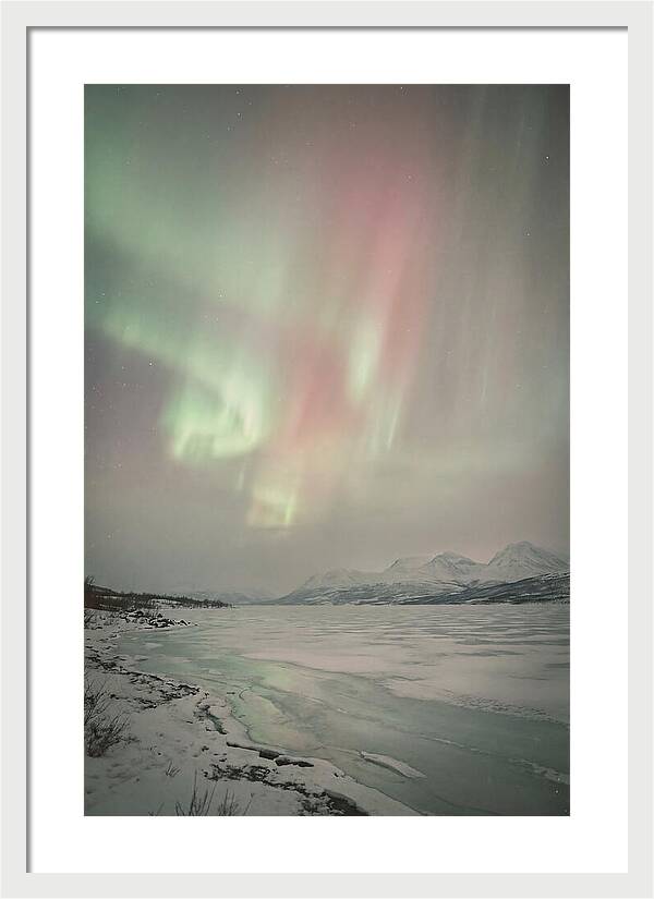 Auroras Above Tornetrask Lake 1