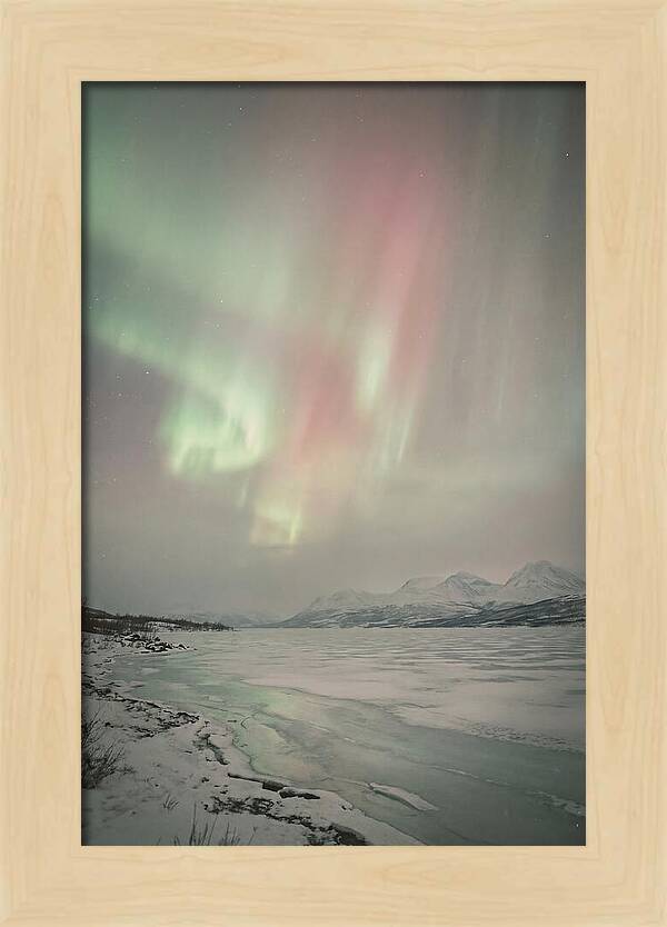 Auroras Above Tornetrask Lake 1