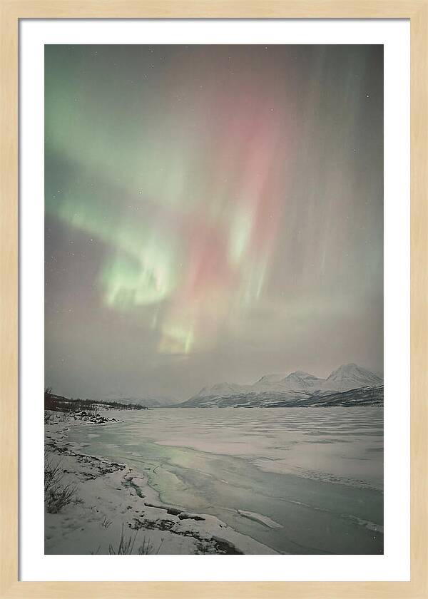 Auroras Above Tornetrask Lake 1