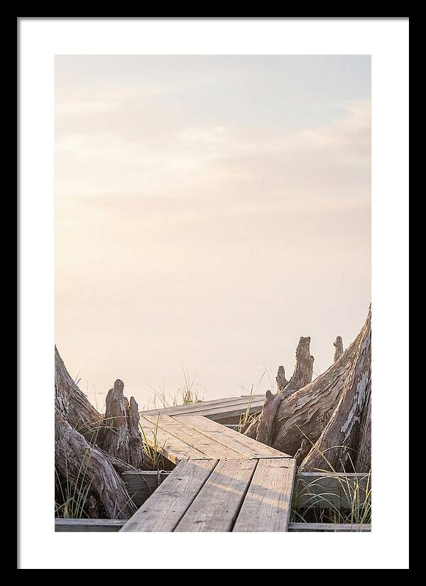 Everglades Dawn Tranquility 1