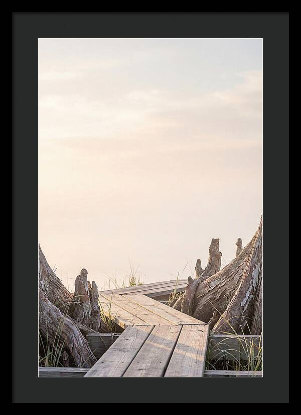 Everglades Dawn Tranquility 1