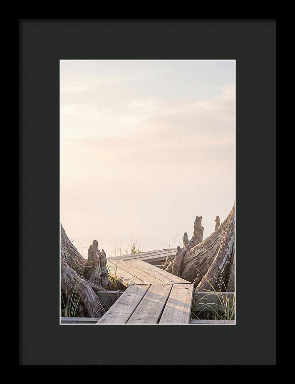 Everglades Dawn Tranquility 1
