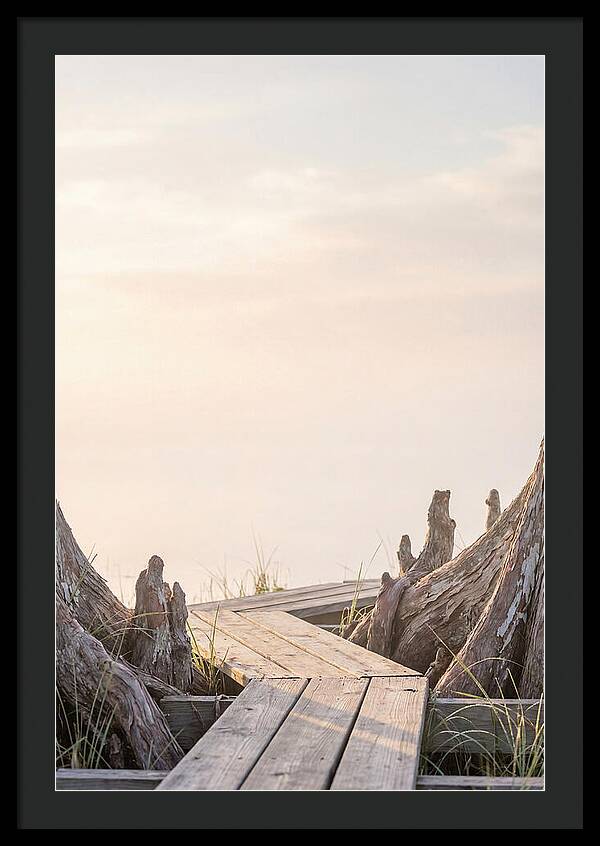 Everglades Dawn Tranquility 1