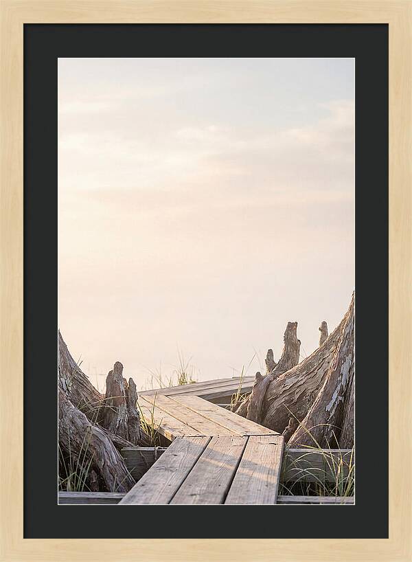 Everglades Dawn Tranquility 1