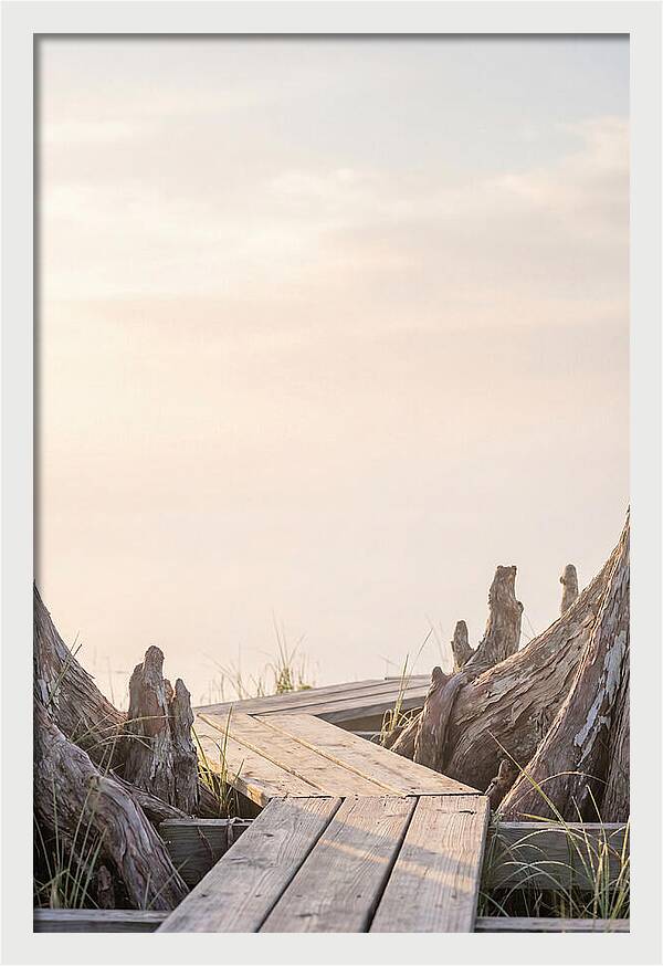 Everglades Dawn Tranquility 1