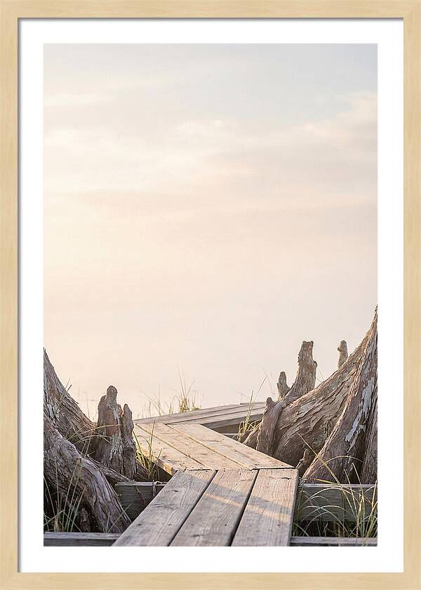 Everglades Dawn Tranquility 1