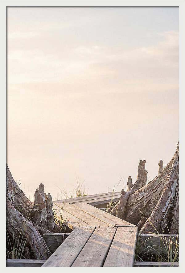 Everglades Dawn Tranquility 1