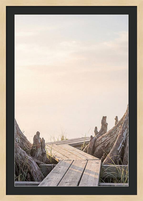 Everglades Dawn Tranquility 1