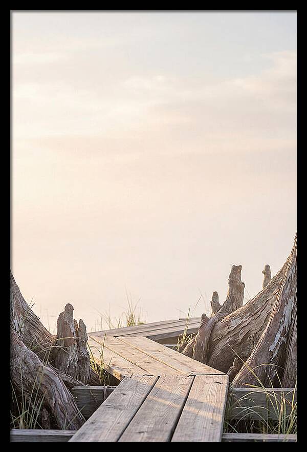 Everglades Dawn Tranquility 1