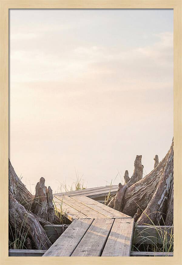 Everglades Dawn Tranquility 1