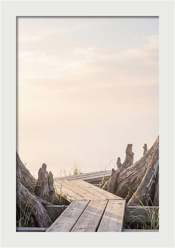 Everglades Dawn Tranquility 1