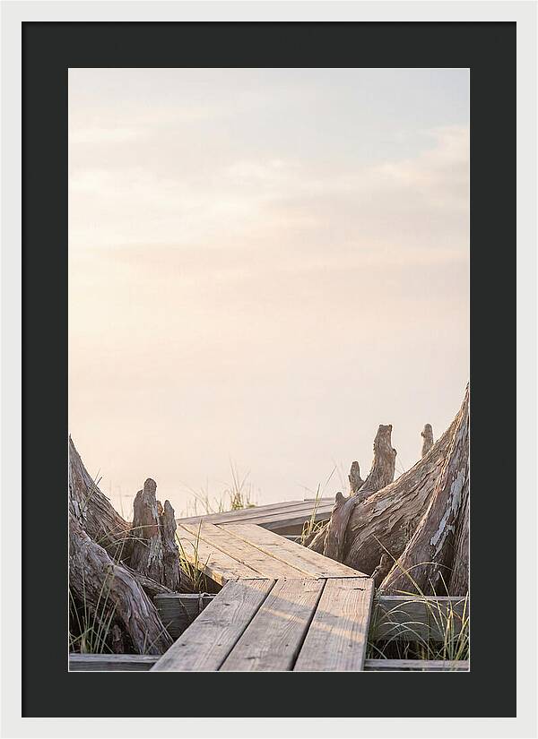Everglades Dawn Tranquility 1