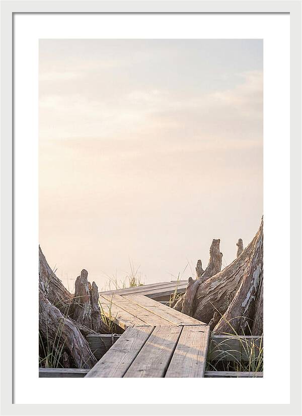 Everglades Dawn Tranquility 1