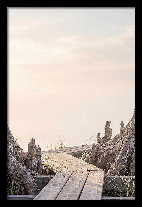 Everglades Dawn Tranquility 1