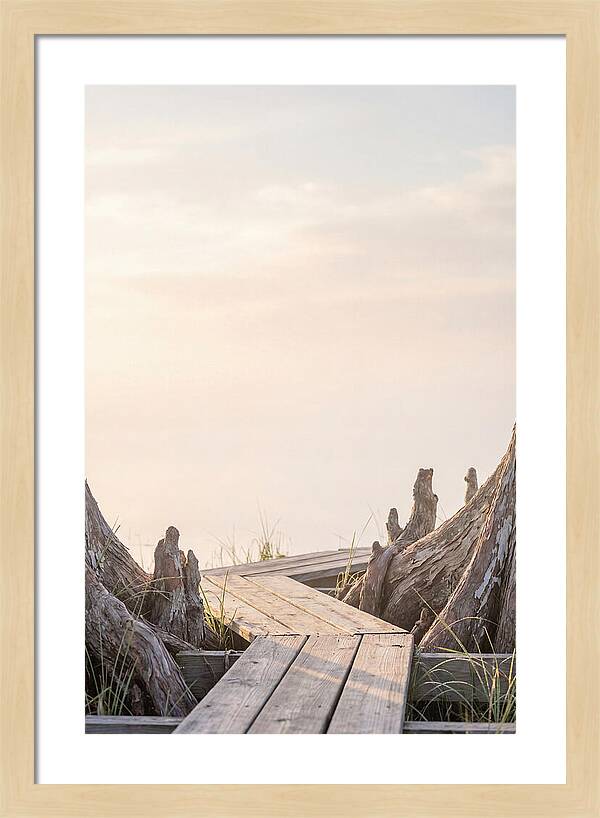 Everglades Dawn Tranquility 1