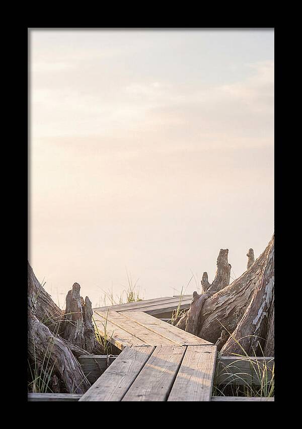 Everglades Dawn Tranquility 1