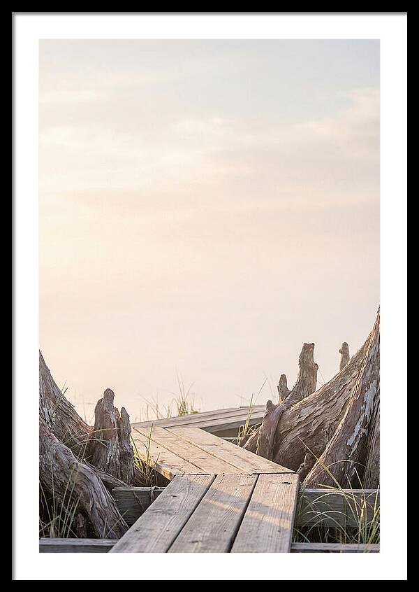 Everglades Dawn Tranquility 1