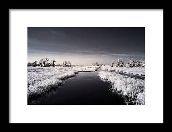 Everglades Dawn Tranquility 1
