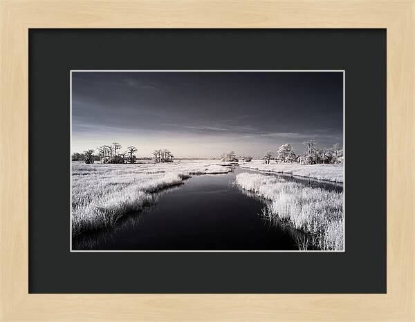 Everglades Dawn Tranquility 1