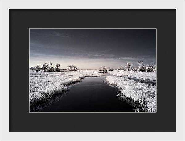Everglades Dawn Tranquility 1