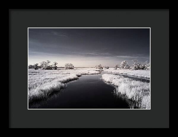 Everglades Dawn Tranquility 1