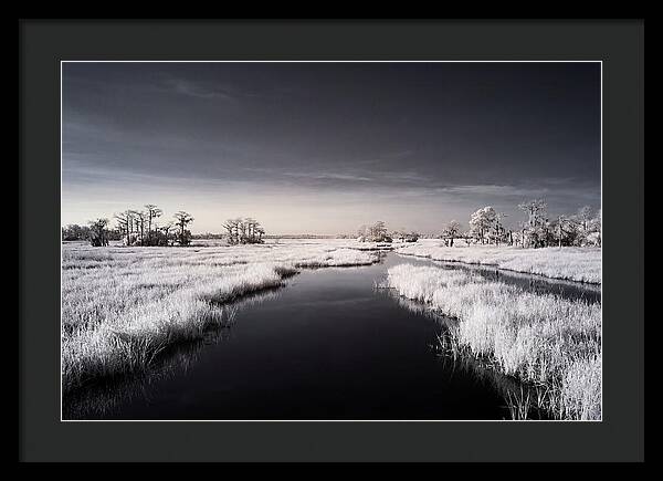 Everglades Dawn Tranquility 1