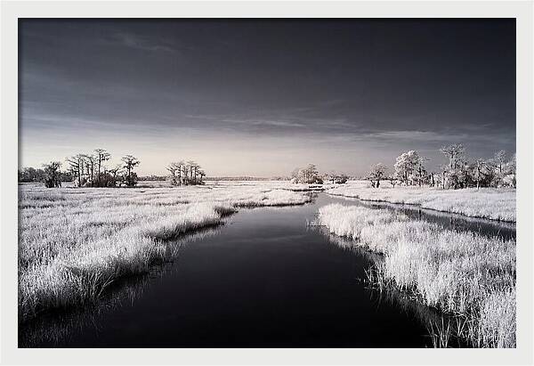 Everglades Dawn Tranquility 1