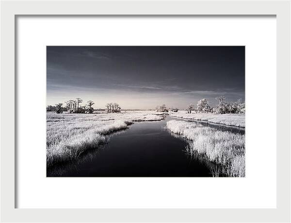 Everglades Dawn Tranquility 1
