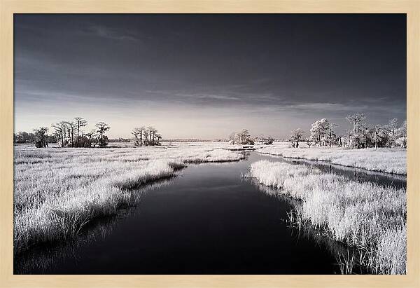 Everglades Dawn Tranquility 1