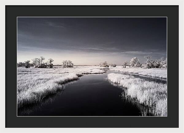 Everglades Dawn Tranquility 1