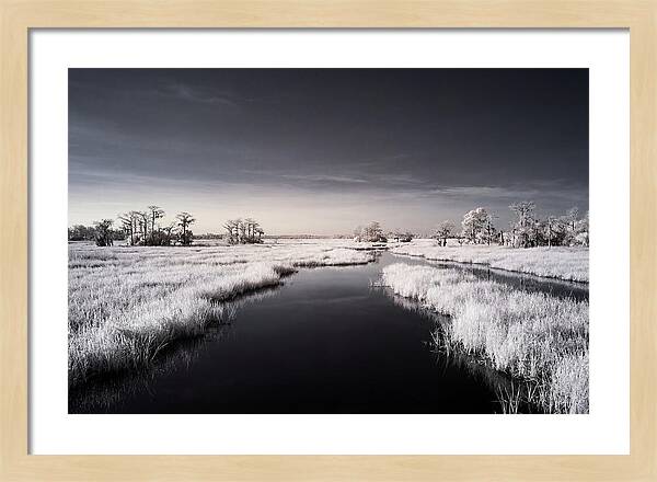 Everglades Dawn Tranquility 1