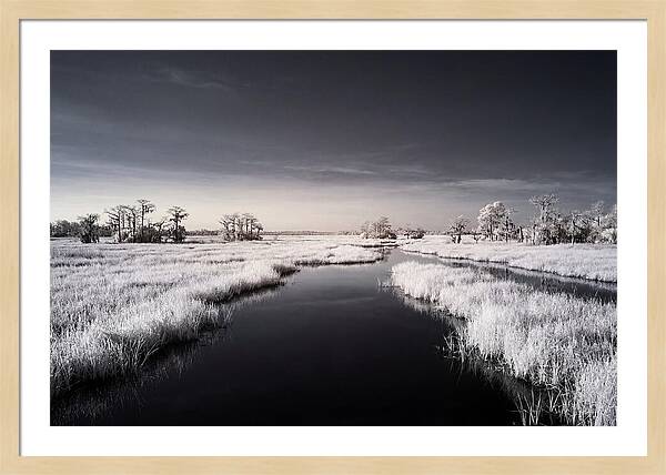Everglades Dawn Tranquility 1
