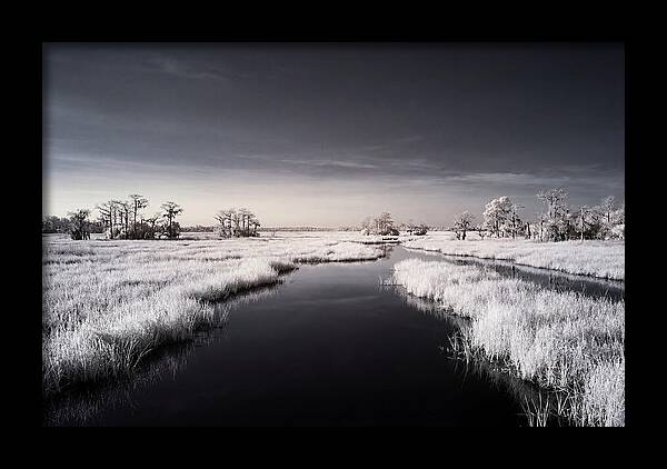 Everglades Dawn Tranquility 1