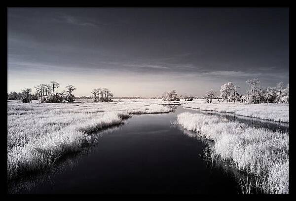 Everglades Dawn Tranquility 1