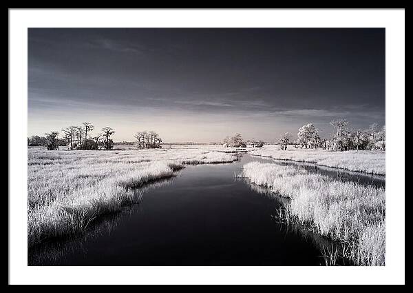 Everglades Dawn Tranquility 1