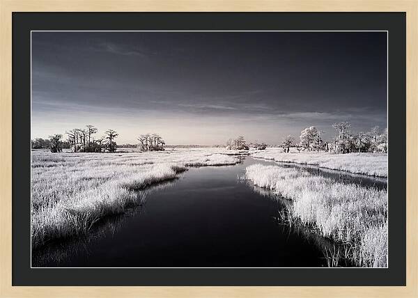 Everglades Dawn Tranquility 1