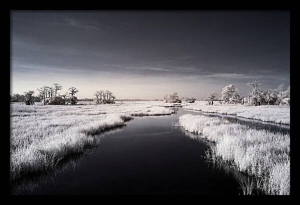 Everglades Dawn Tranquility 1