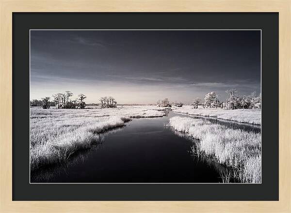 Everglades Dawn Tranquility 1