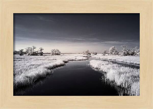 Everglades Dawn Tranquility 1