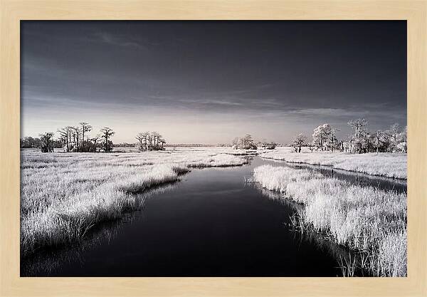 Everglades Dawn Tranquility 1