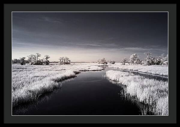 Everglades Dawn Tranquility 1