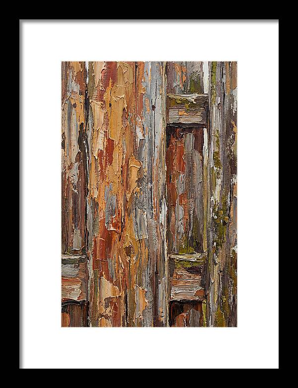 Weathered Wooden Fence 1