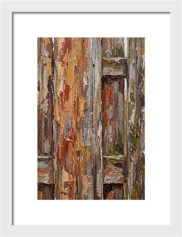 Weathered Wooden Fence 1